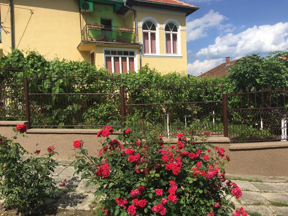 Vila Arjana Orszowa Zewnętrze zdjęcie